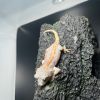 DEADPOOL LINE GARGOYLE GECKO