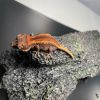 DEADPOOL LINE GARGOYLE GECKO