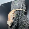 DEADPOOL LINE GARGOYLE GECKO